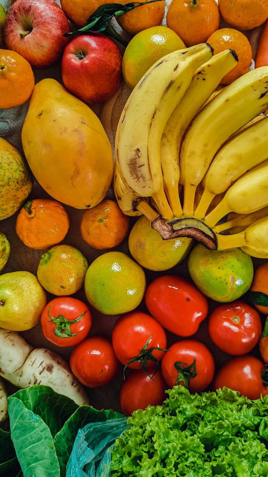 IMG-20251028-WA0292(1)